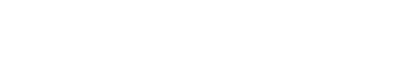 Blitz Umzug Wien Partner Interio